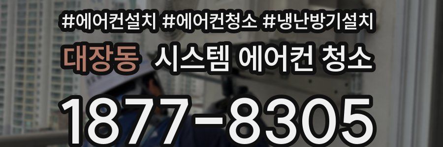 대장동 시스템 에어컨 청소