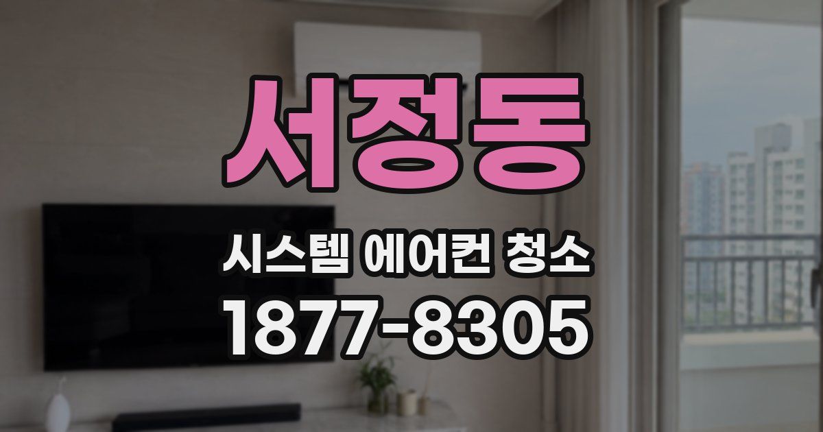 서정동 시스템 에어컨 청소