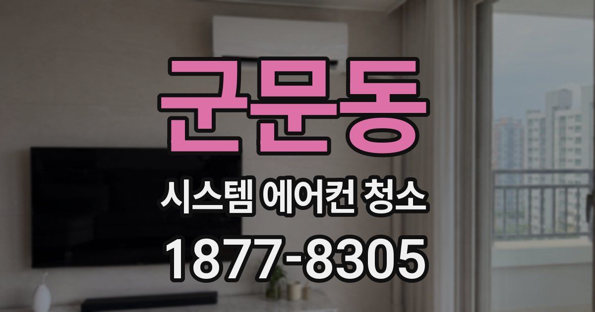 군문동 시스템 에어컨 청소