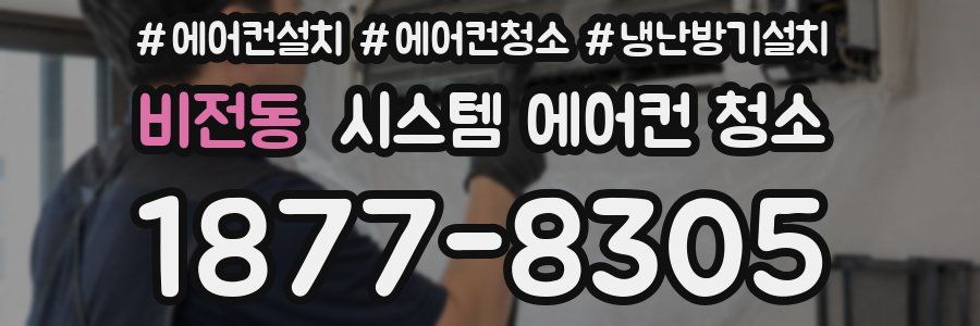 비전동 시스템 에어컨 청소