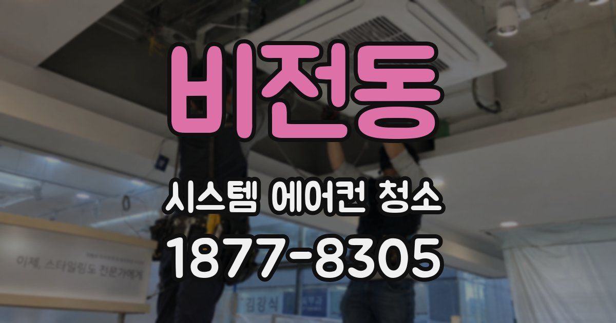 비전동 시스템 에어컨 청소