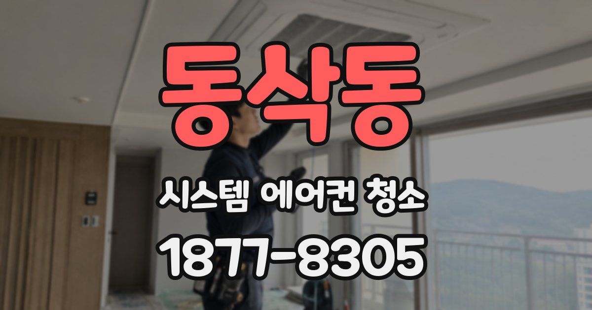 동삭동 시스템 에어컨 청소