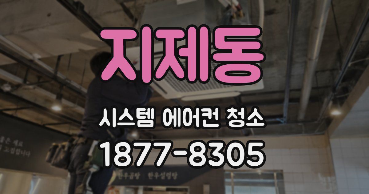 지제동 시스템 에어컨 청소