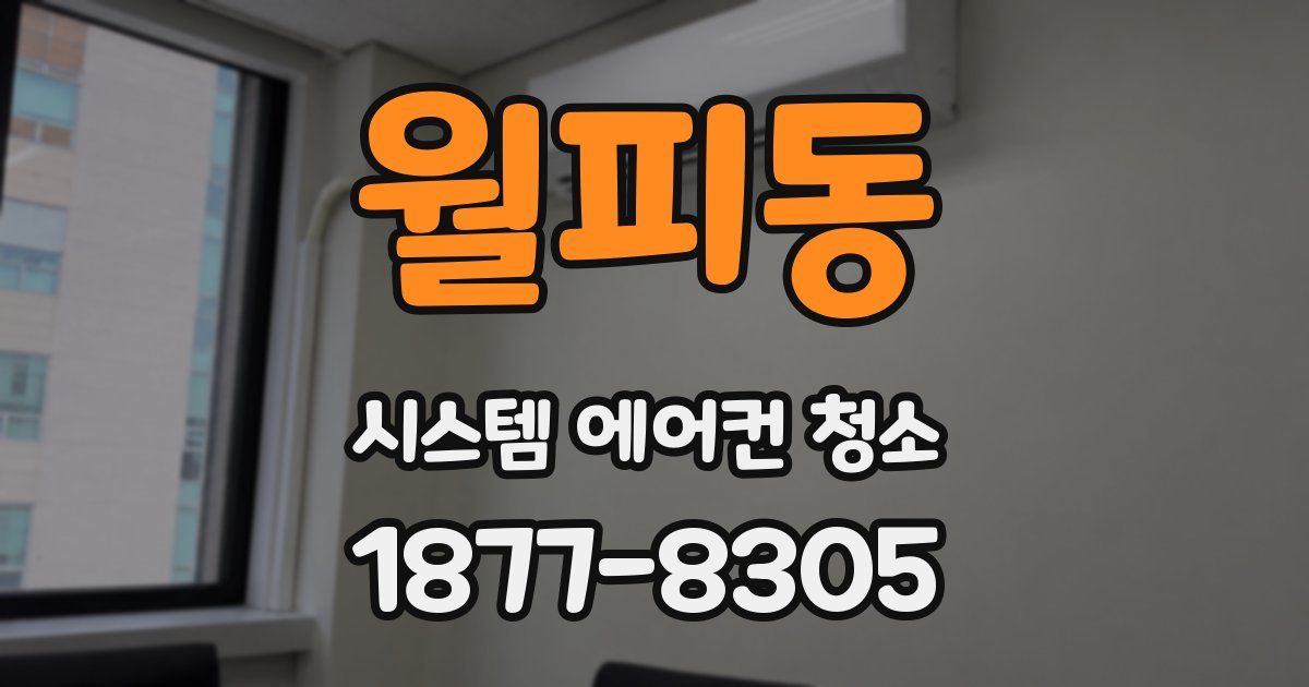 월피동 시스템 에어컨 청소