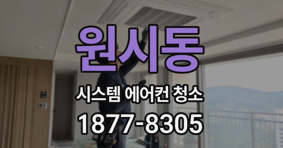 원시동 시스템 에어컨 청소