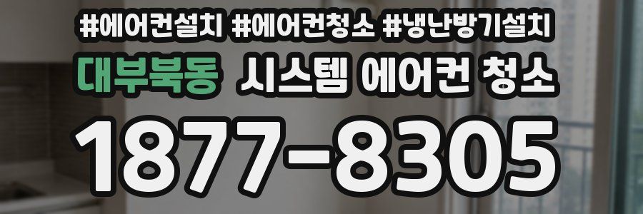대부북동 시스템 에어컨 청소