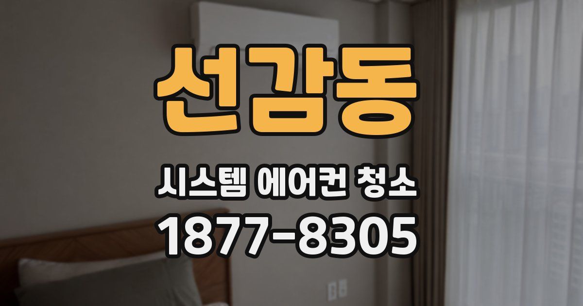 선감동 시스템 에어컨 청소