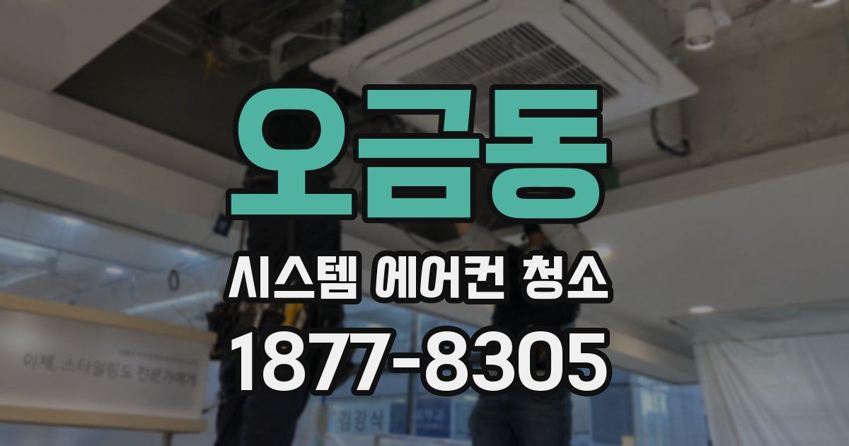 오금동 시스템 에어컨 청소