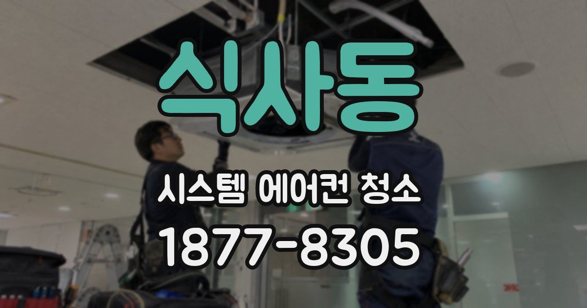 식사동 시스템 에어컨 청소