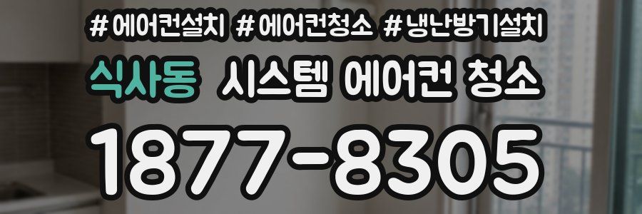 식사동 시스템 에어컨 청소