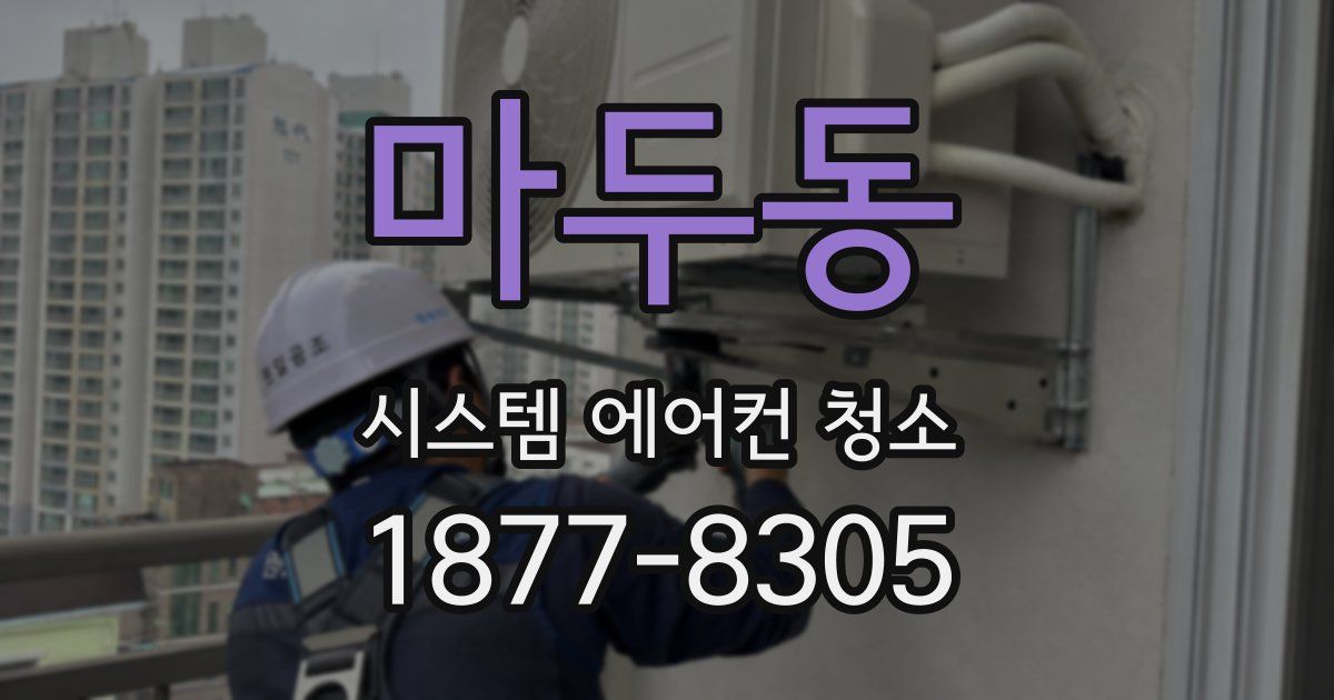 마두동 시스템 에어컨 청소
