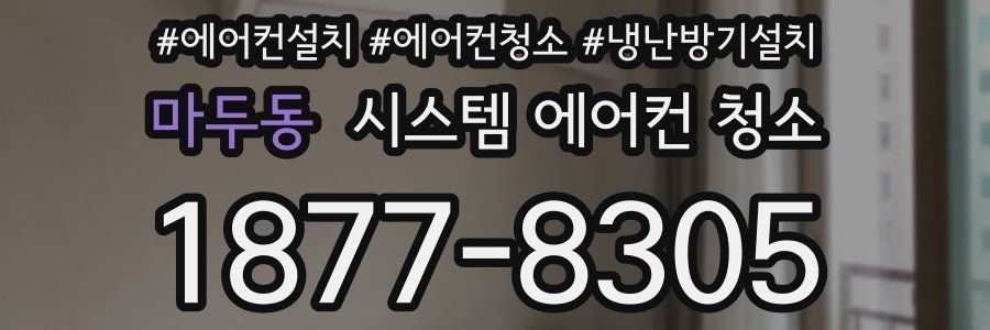 마두동 시스템 에어컨 청소