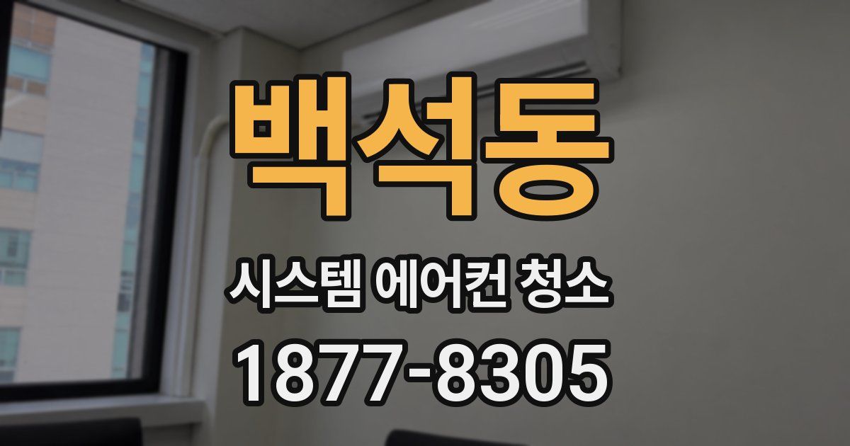 백석동 시스템 에어컨 청소