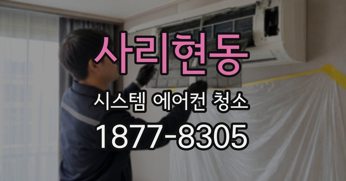 사리현동 시스템 에어컨 청소