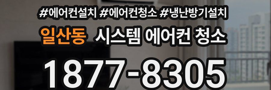 일산동 시스템 에어컨 청소