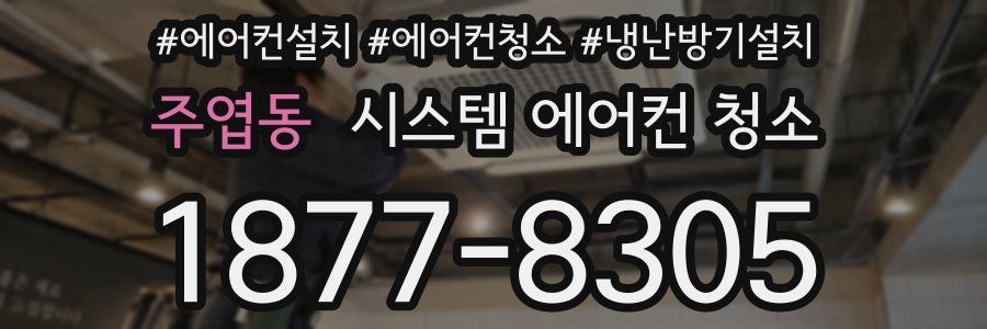 주엽동 시스템 에어컨 청소