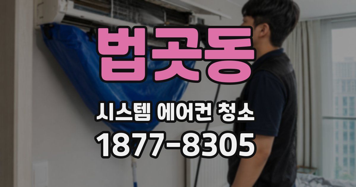 법곳동 시스템 에어컨 청소