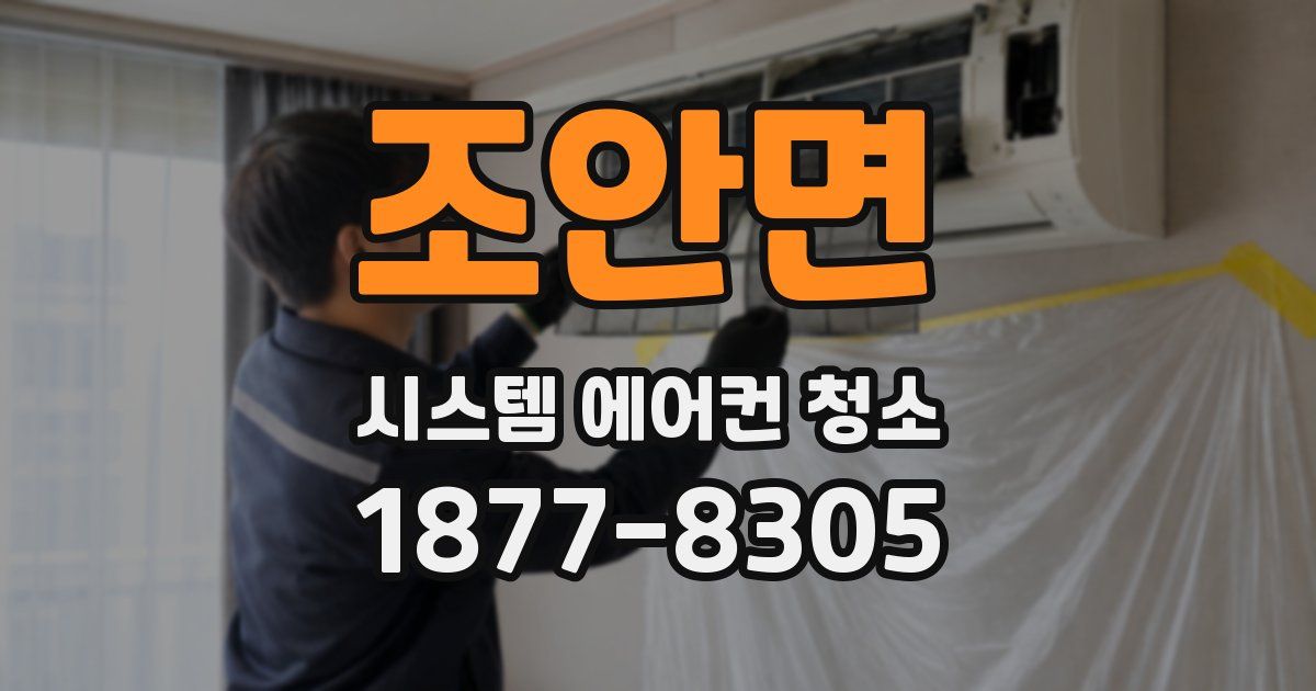 조안면 시스템 에어컨 청소