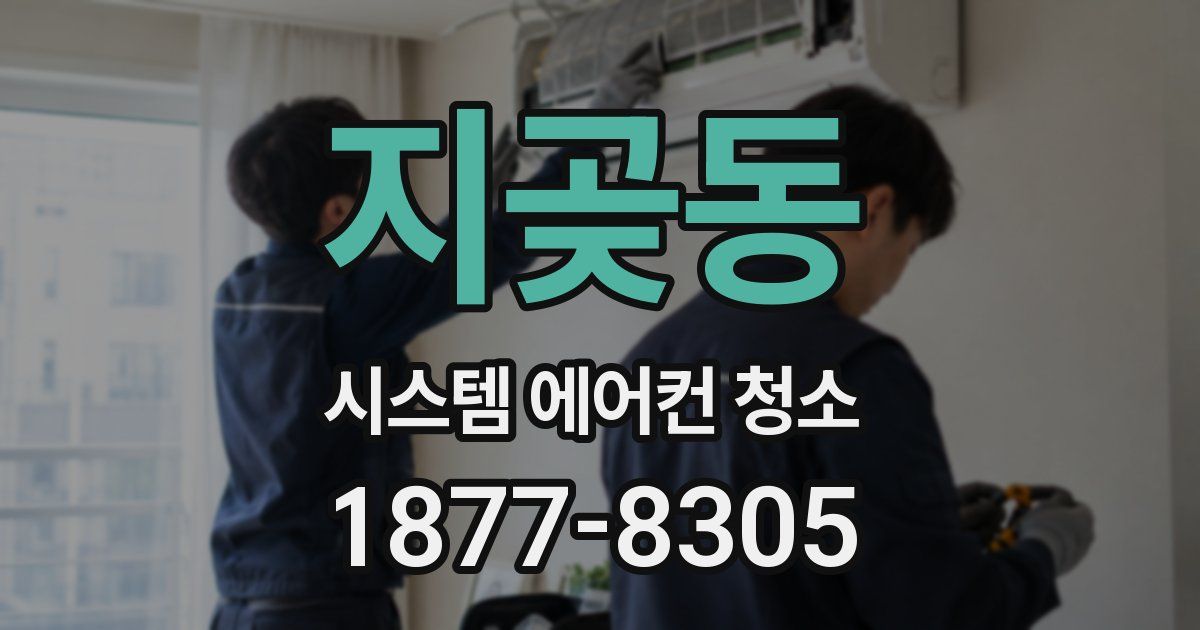 지곶동 시스템 에어컨 청소