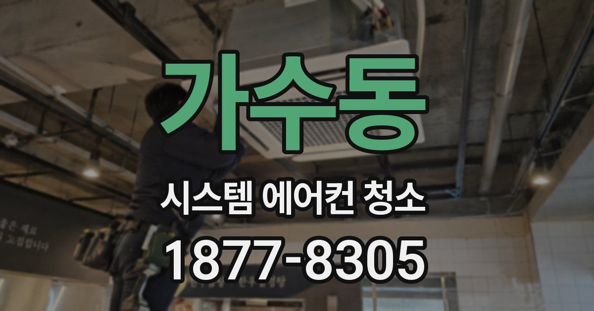 가수동 시스템 에어컨 청소