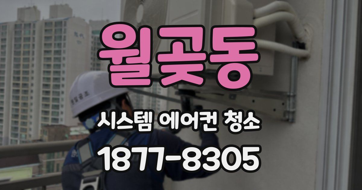 월곶동 시스템 에어컨 청소