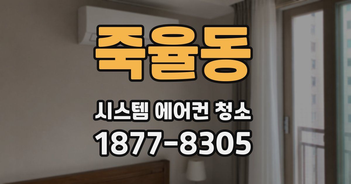 죽율동 시스템 에어컨 청소
