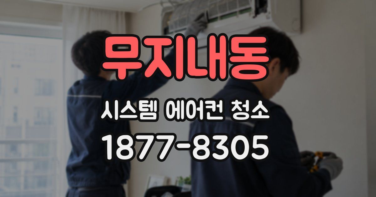 무지내동 시스템 에어컨 청소