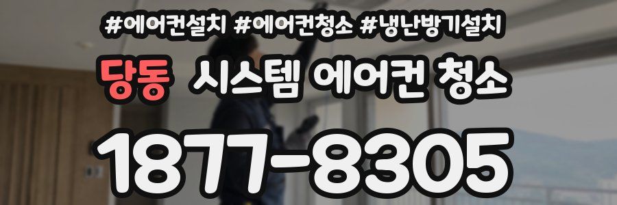당동 시스템 에어컨 청소