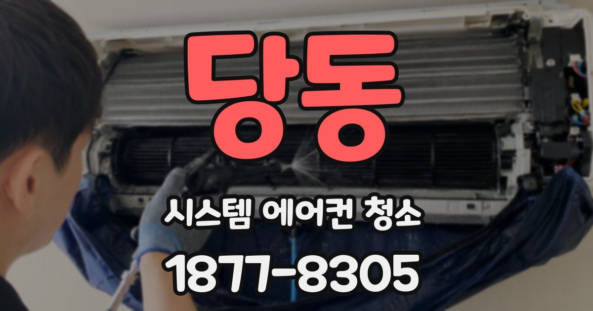 당동 시스템 에어컨 청소