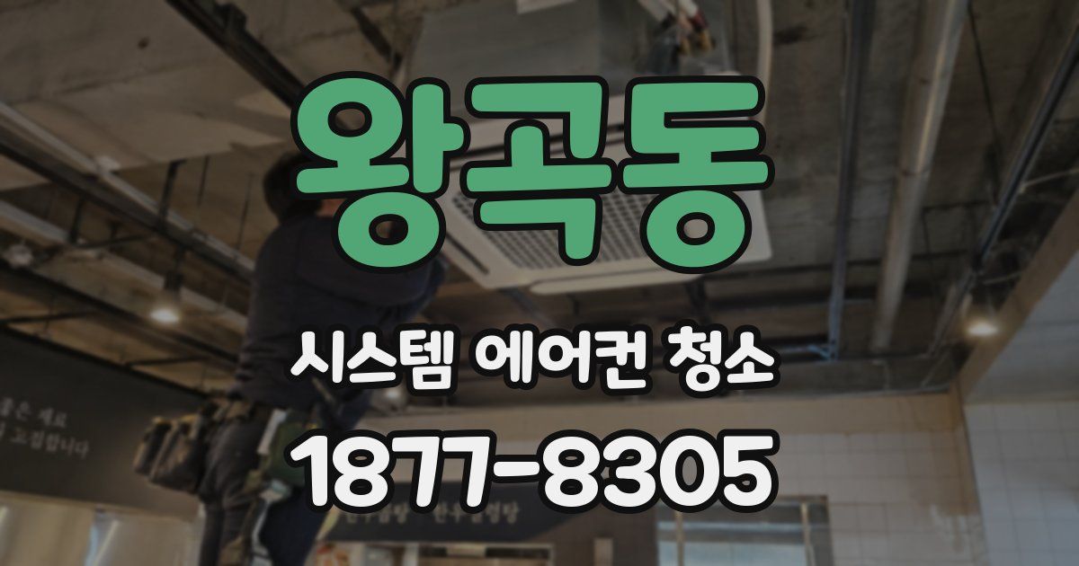 왕곡동 시스템 에어컨 청소
