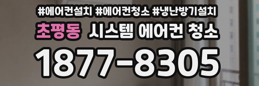 초평동 시스템 에어컨 청소