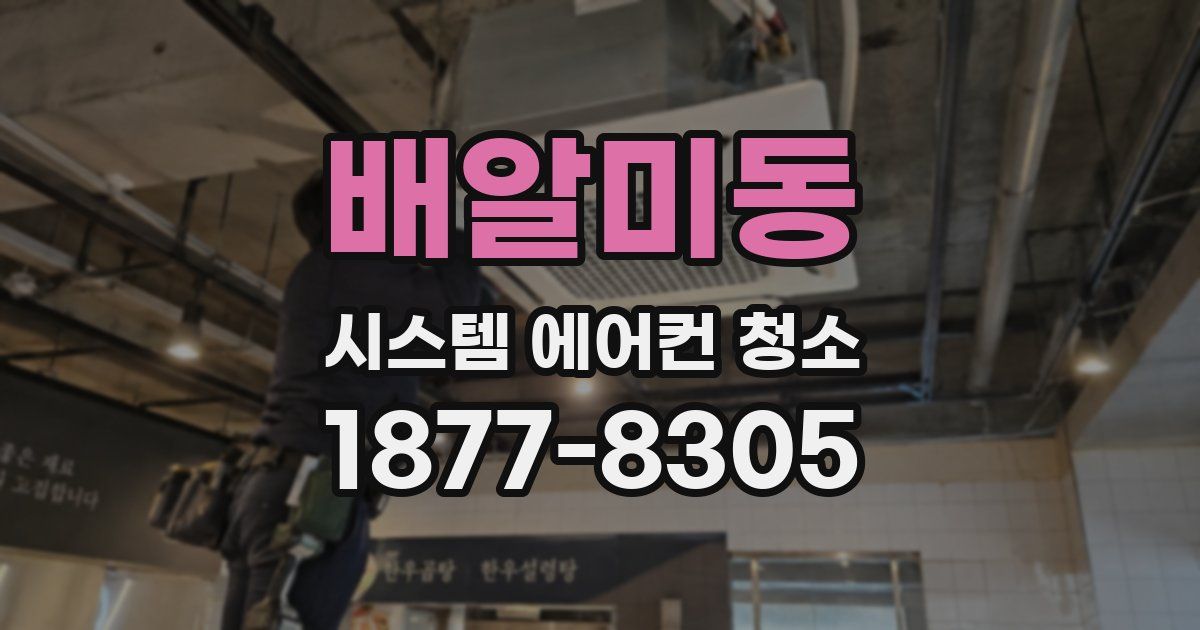 배알미동 시스템 에어컨 청소