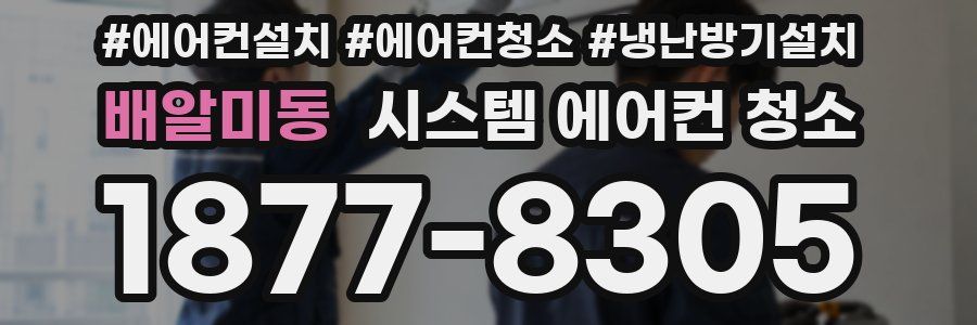 배알미동 시스템 에어컨 청소
