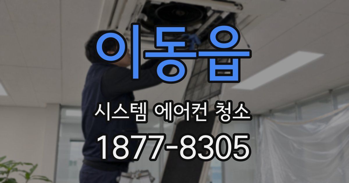 이동읍 시스템 에어컨 청소