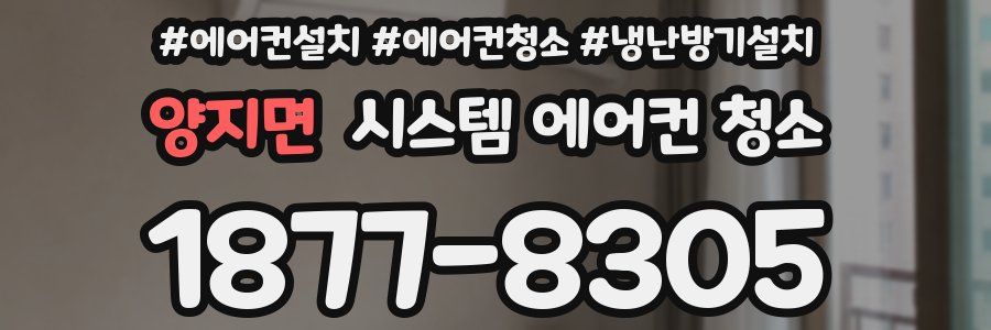 양지면 시스템 에어컨 청소
