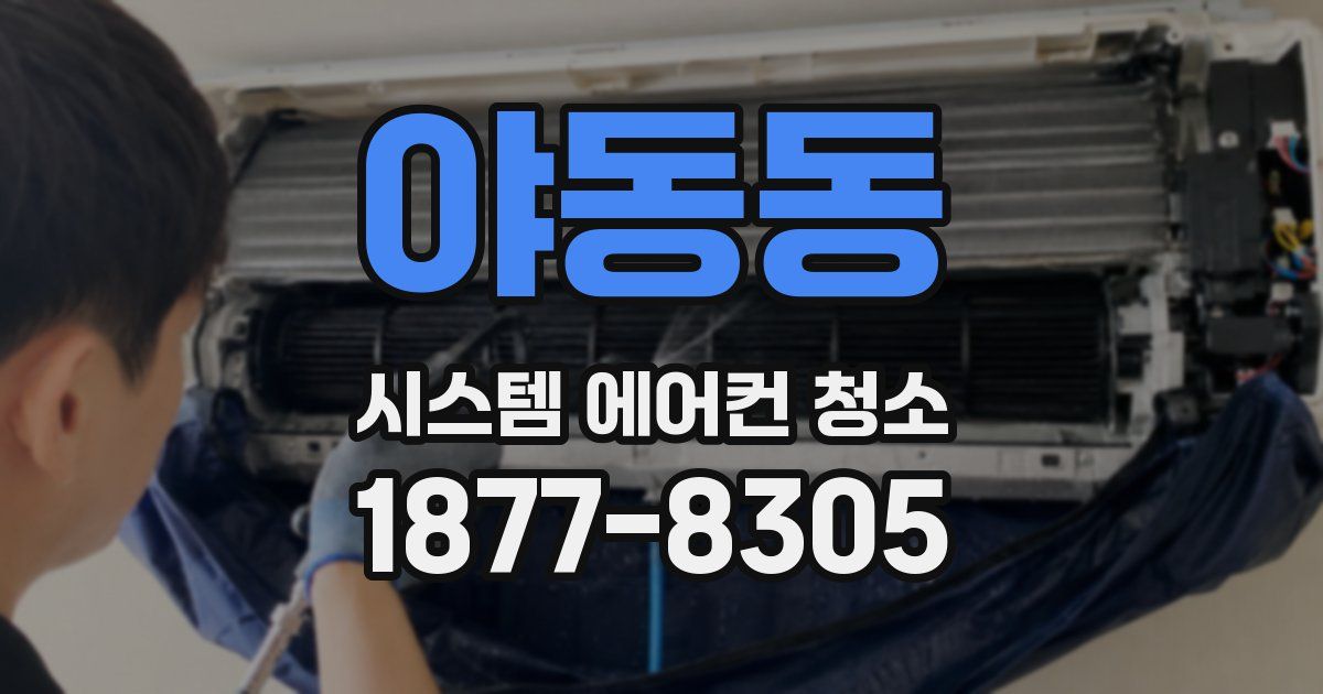 야동동 시스템 에어컨 청소