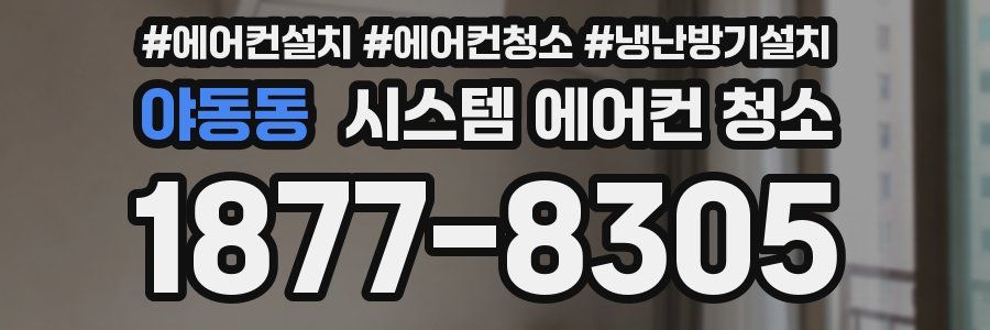 야동동 시스템 에어컨 청소
