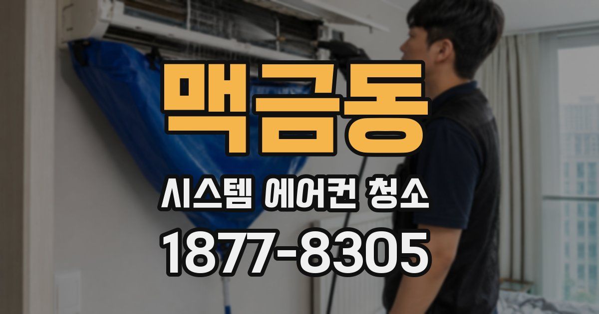 맥금동 시스템 에어컨 청소