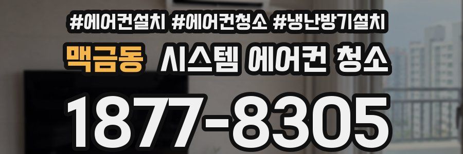 맥금동 시스템 에어컨 청소
