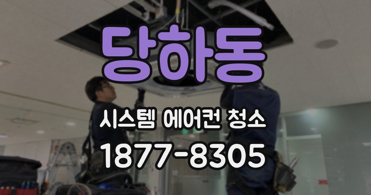 당하동 시스템 에어컨 청소