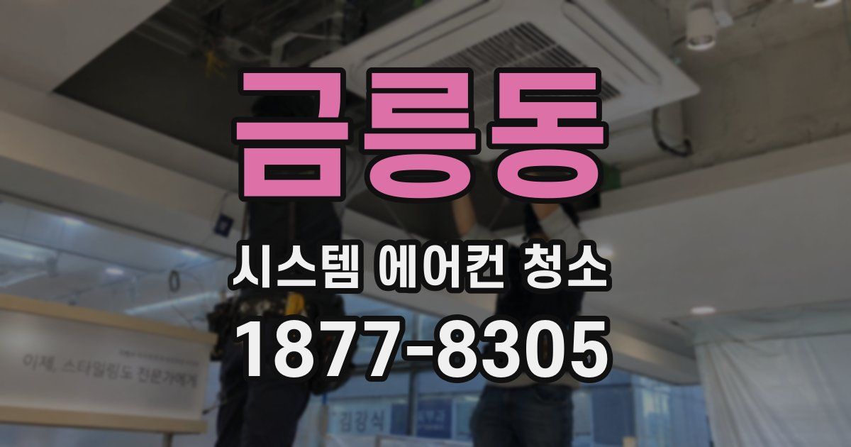 금릉동 시스템 에어컨 청소