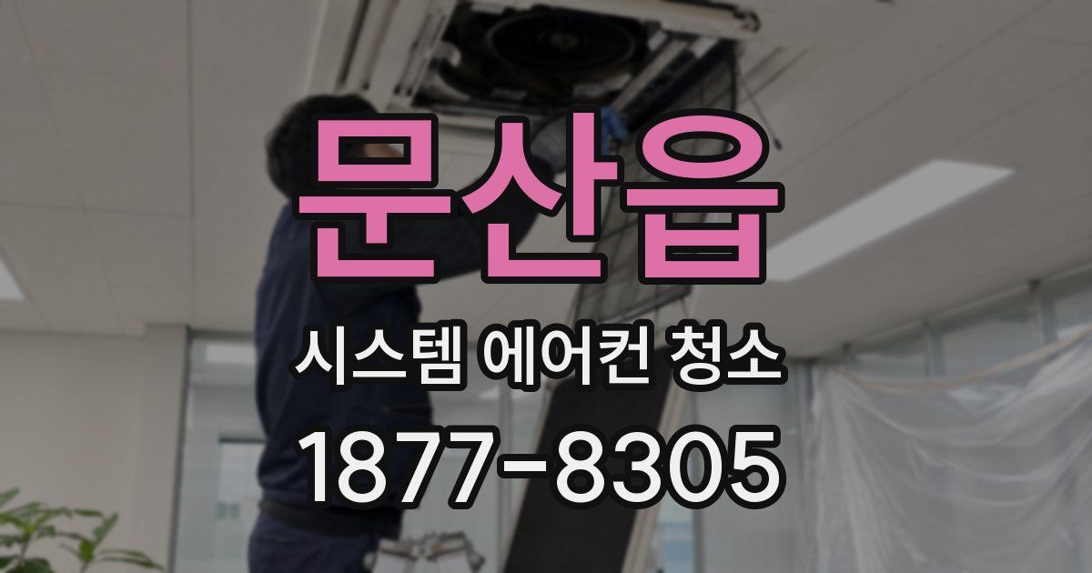 문산읍 시스템 에어컨 청소