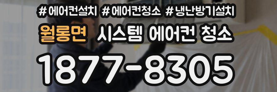 월롱면 시스템 에어컨 청소