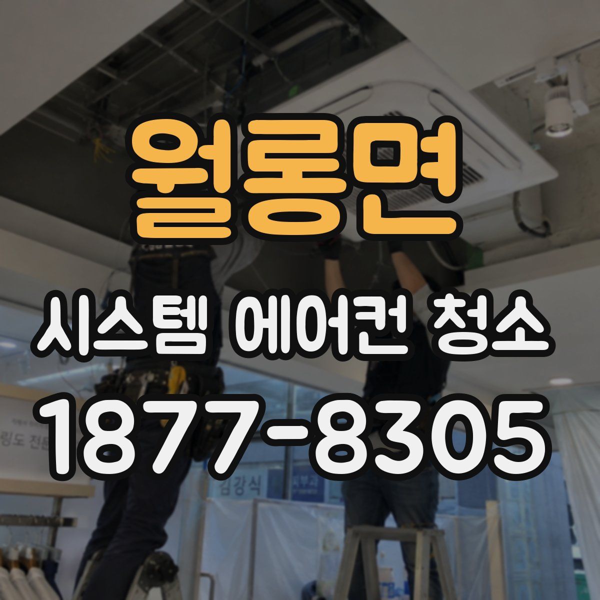 월롱면 시스템 에어컨 청소