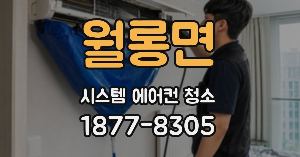 월롱면 시스템 에어컨 청소