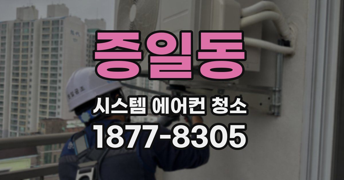 증일동 시스템 에어컨 청소