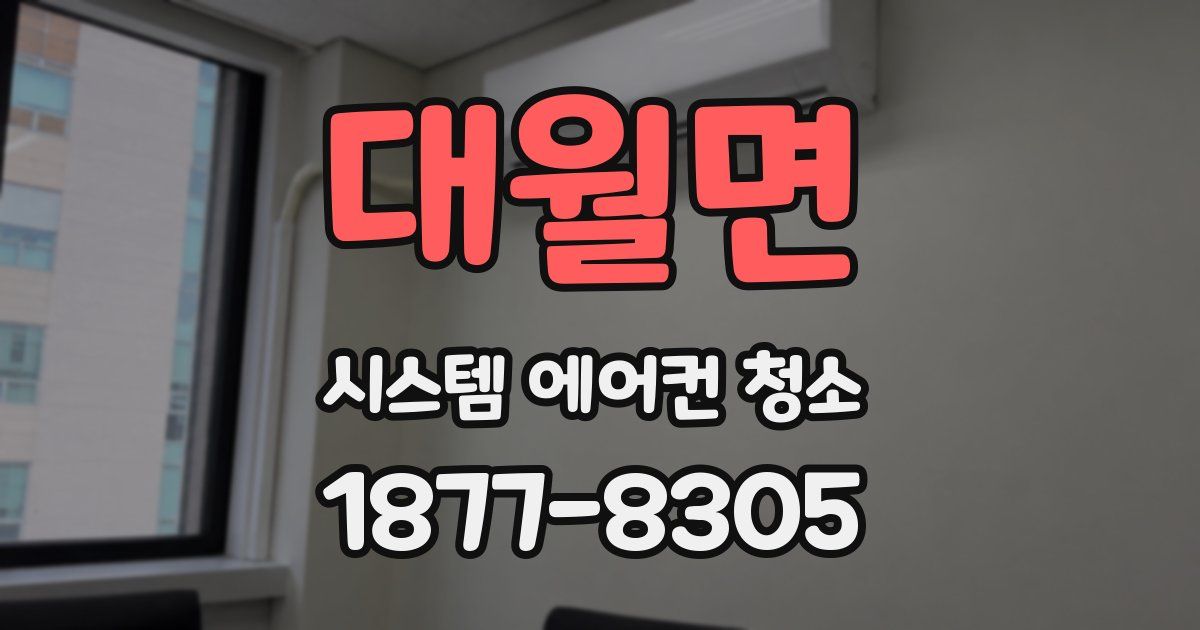 대월면 시스템 에어컨 청소