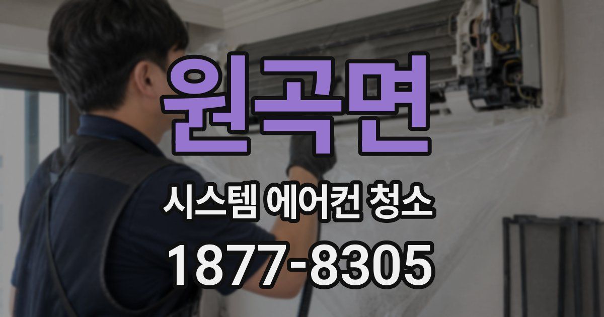 원곡면 시스템 에어컨 청소