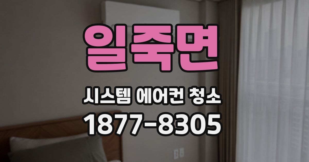 일죽면 시스템 에어컨 청소