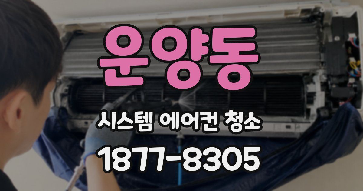 운양동 시스템 에어컨 청소